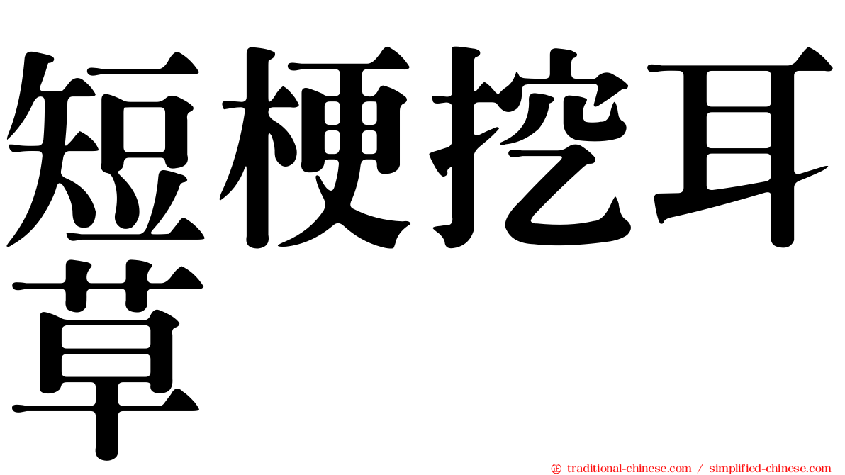 短梗挖耳草