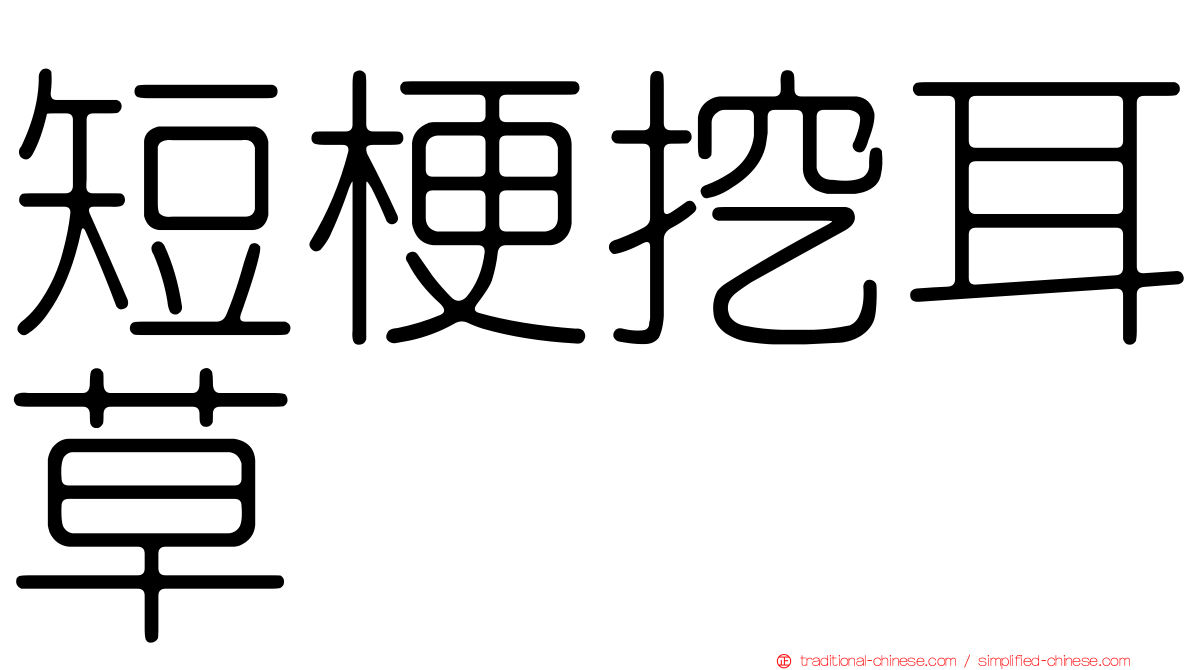 短梗挖耳草