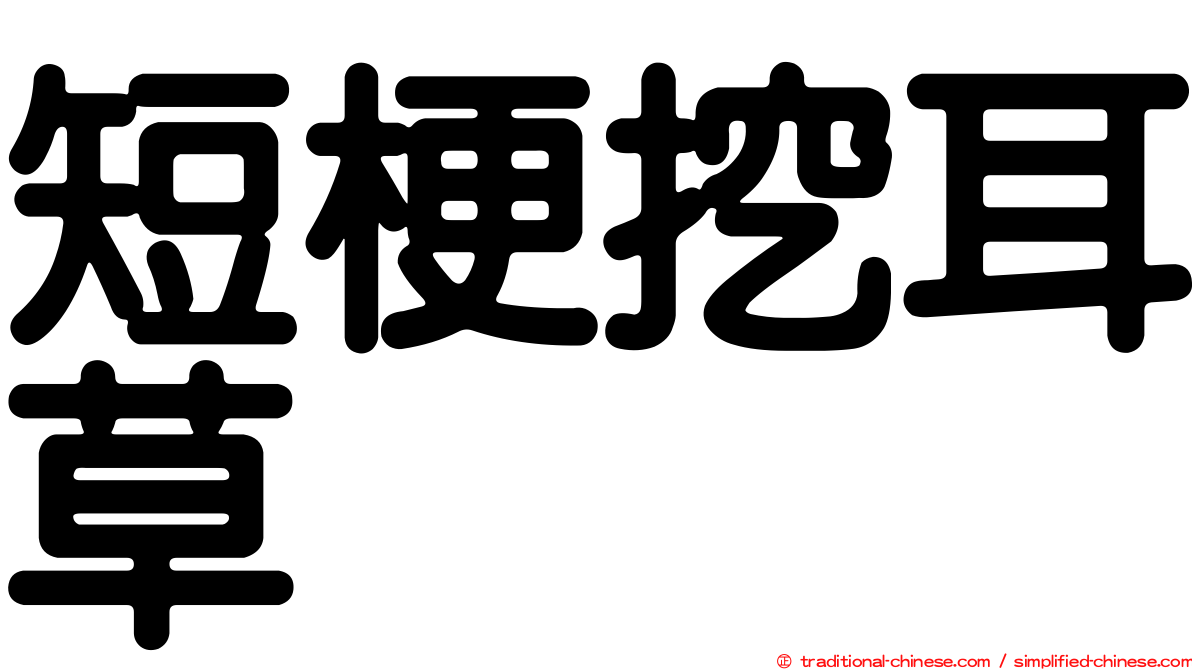 短梗挖耳草