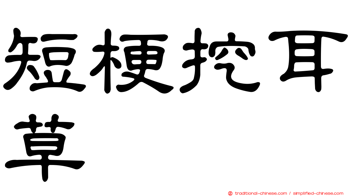 短梗挖耳草