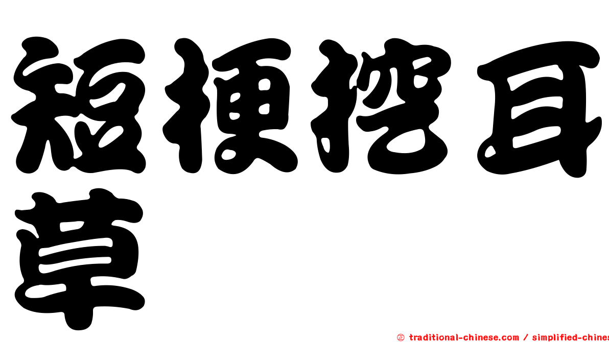 短梗挖耳草