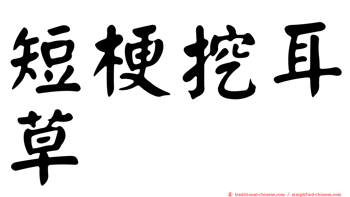 短梗挖耳草