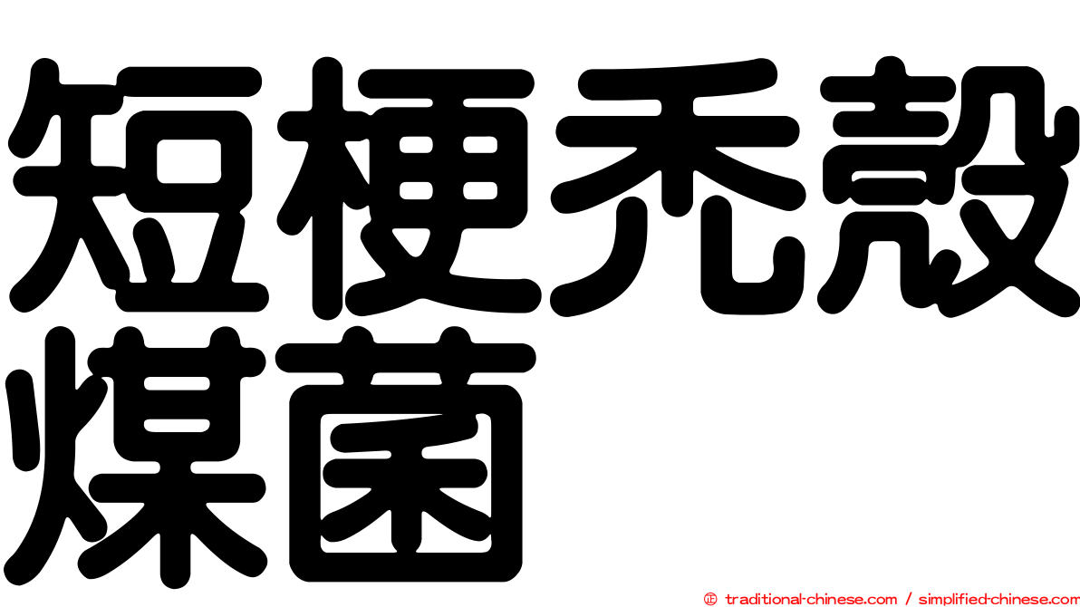短梗禿殼煤菌