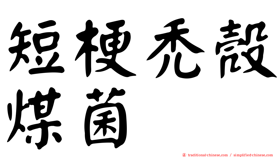 短梗禿殼煤菌