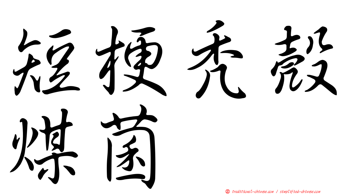 短梗禿殼煤菌