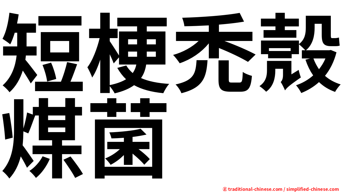 短梗禿殼煤菌