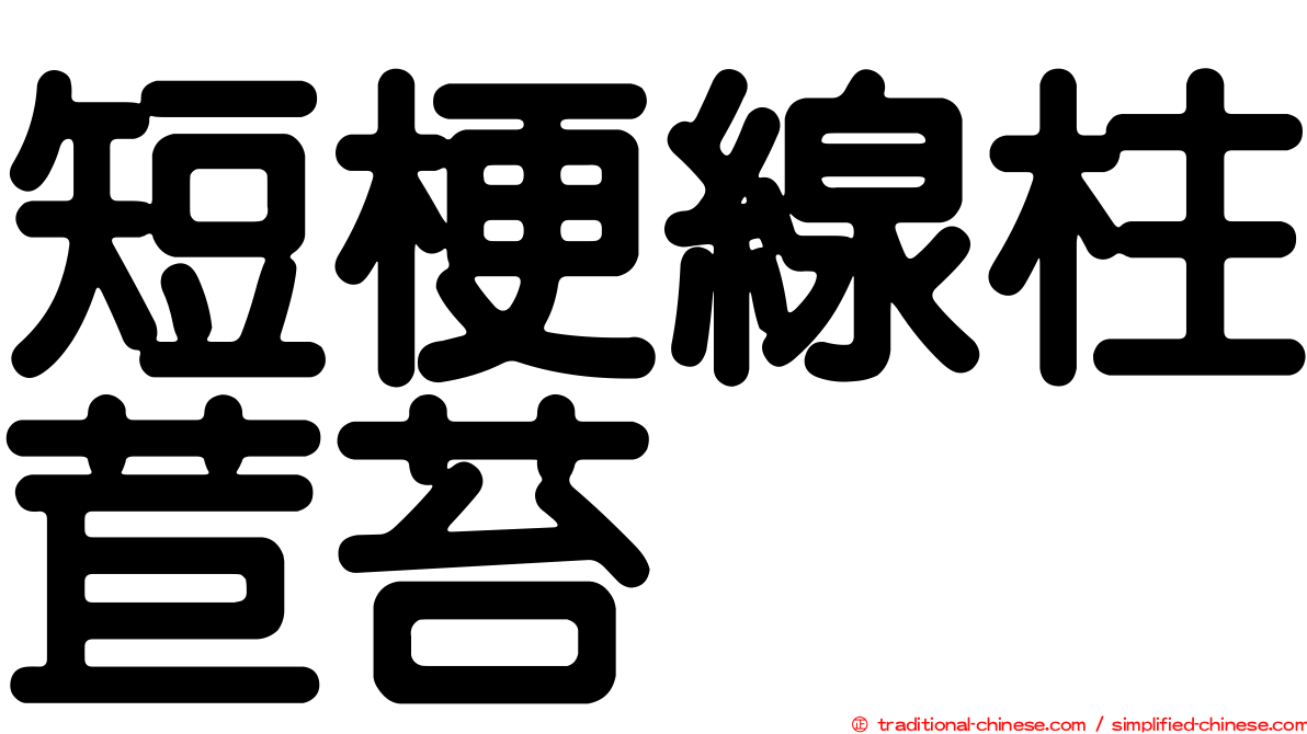 短梗線柱苣苔