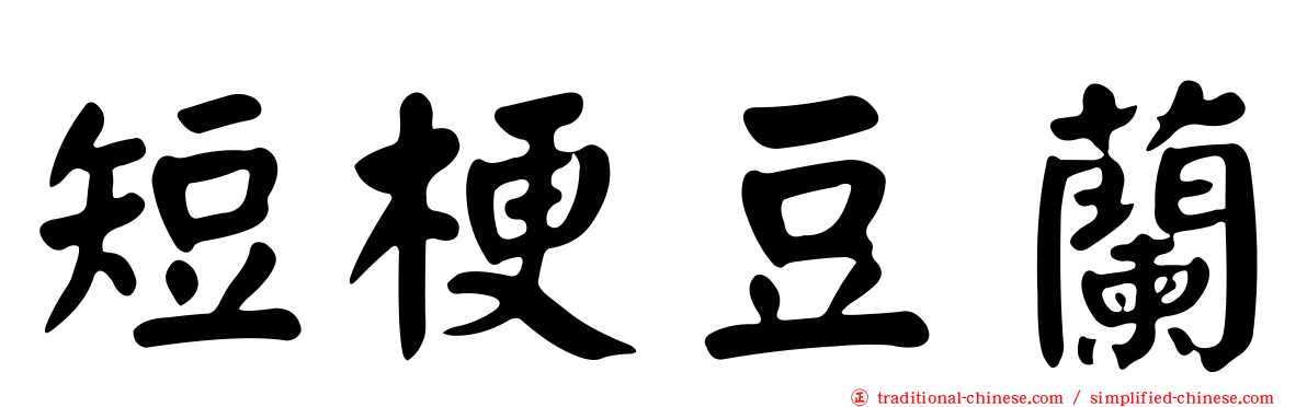 短梗豆蘭