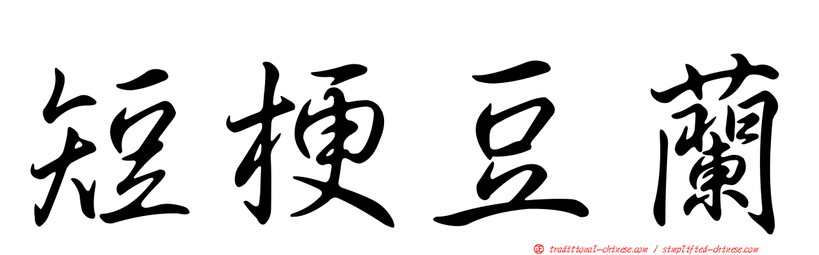 短梗豆蘭