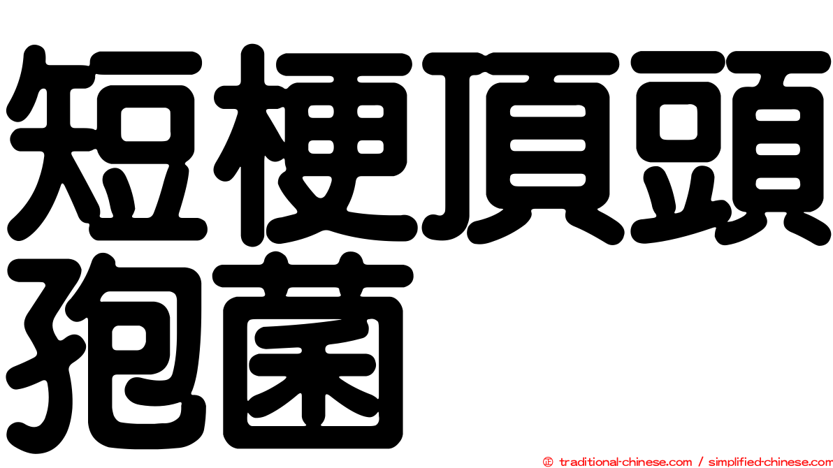 短梗頂頭孢菌