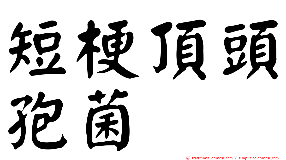 短梗頂頭孢菌