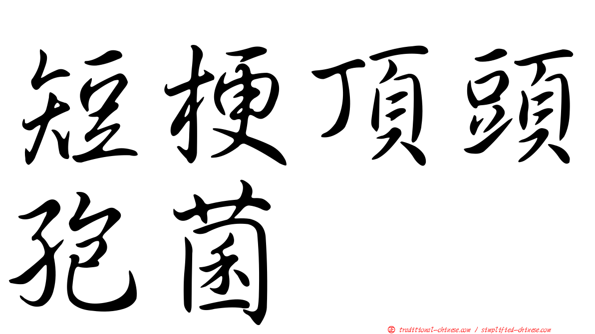 短梗頂頭孢菌