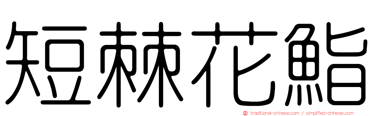 短棘花鮨