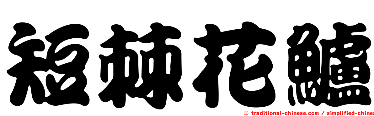 短棘花鱸