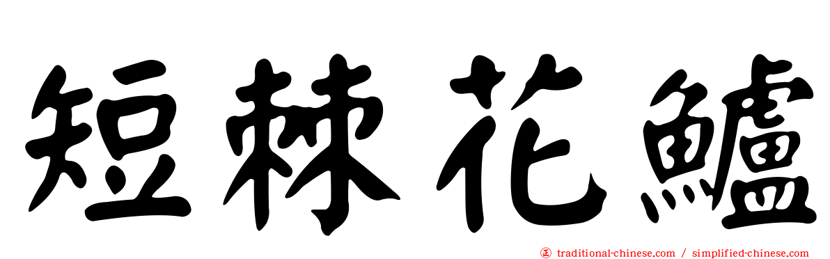 短棘花鱸