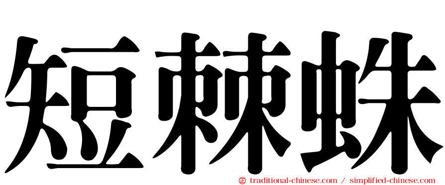 短棘蛛