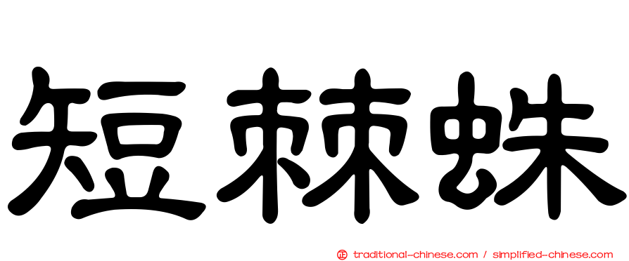 短棘蛛