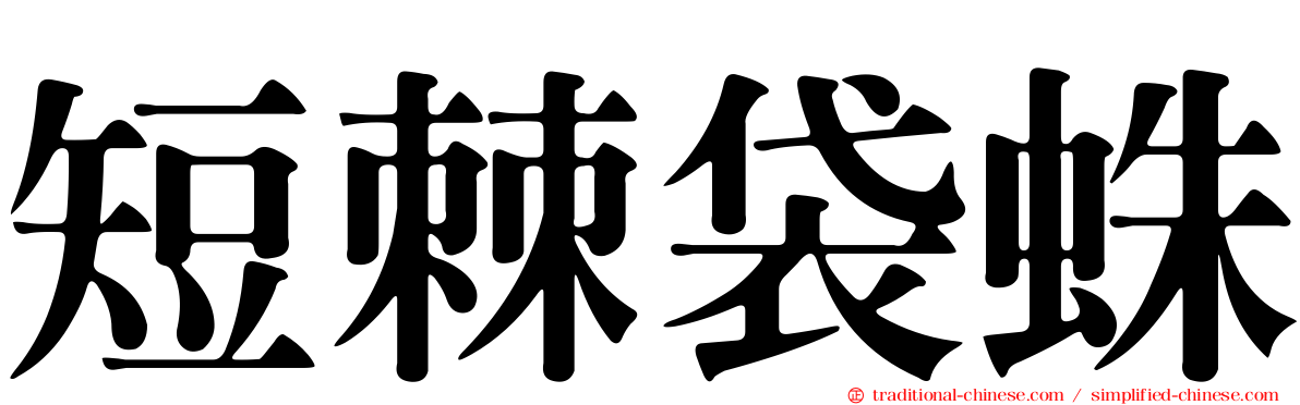 短棘袋蛛