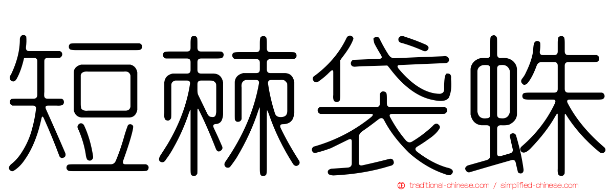 短棘袋蛛