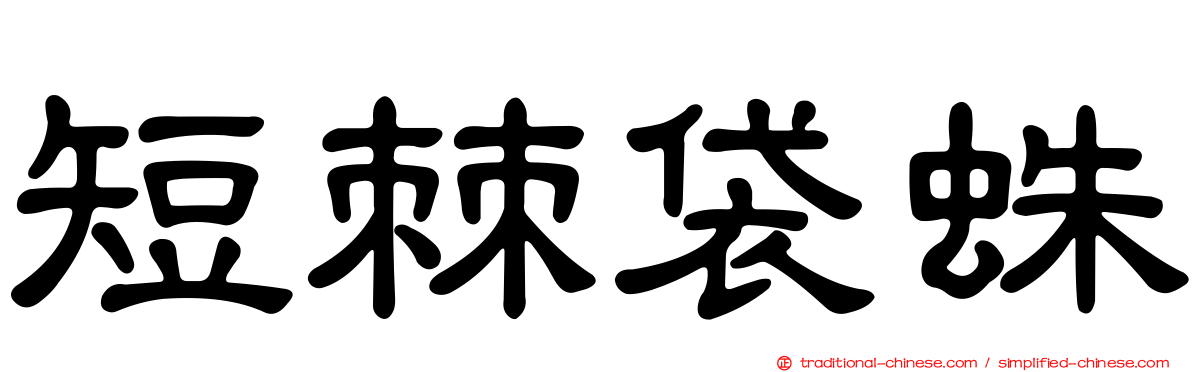 短棘袋蛛