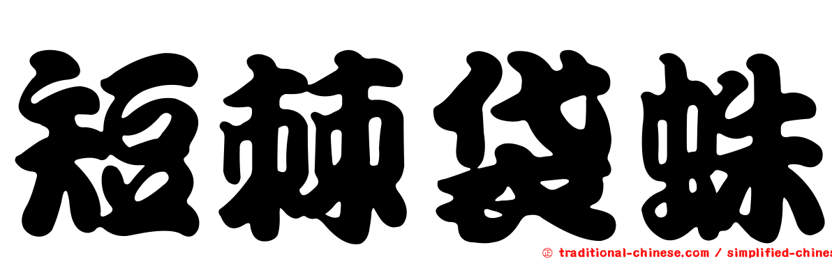 短棘袋蛛