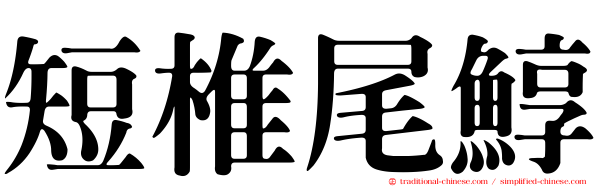 短椎尾鯙