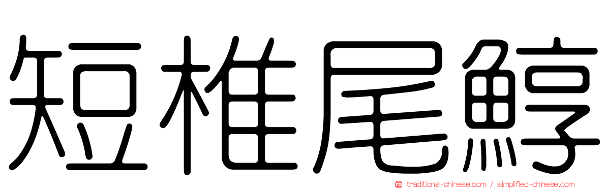 短椎尾鯙