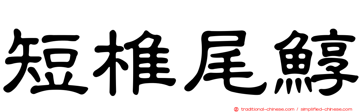 短椎尾鯙
