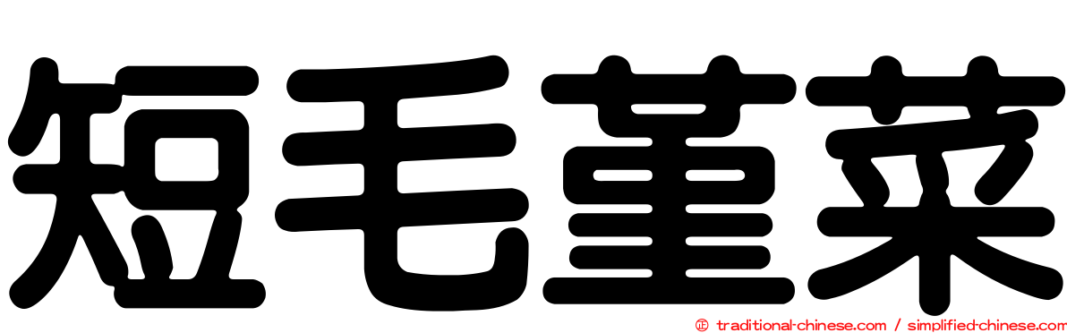 短毛堇菜