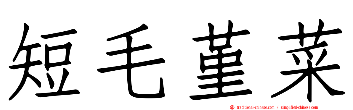 短毛堇菜