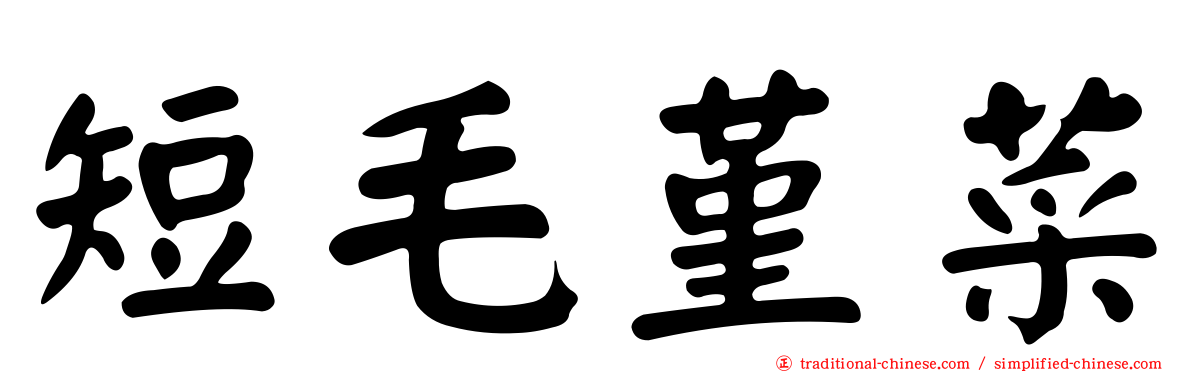 短毛堇菜