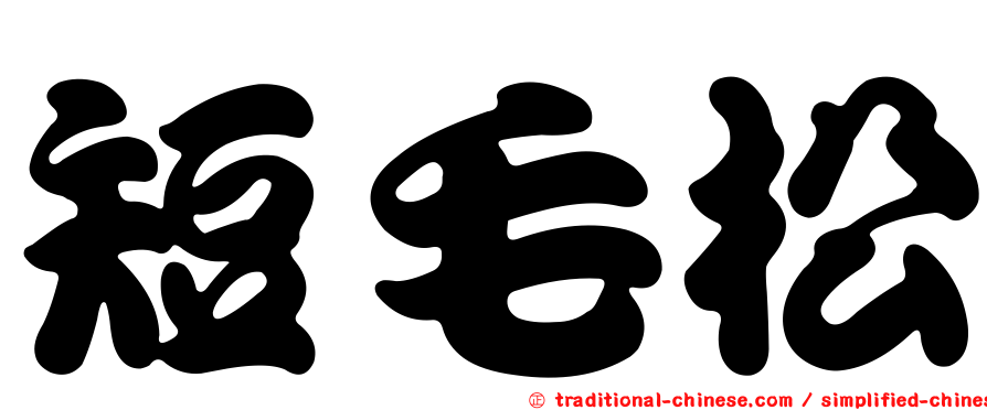 短毛松