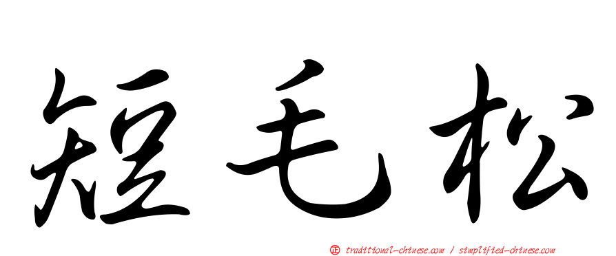 短毛松
