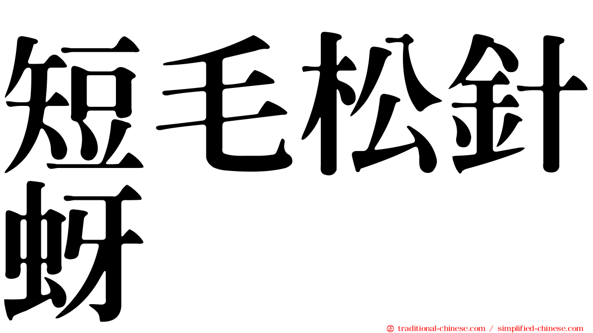 短毛松針蚜