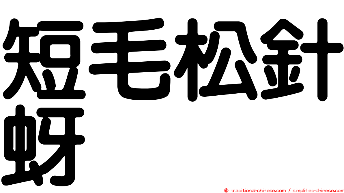 短毛松針蚜