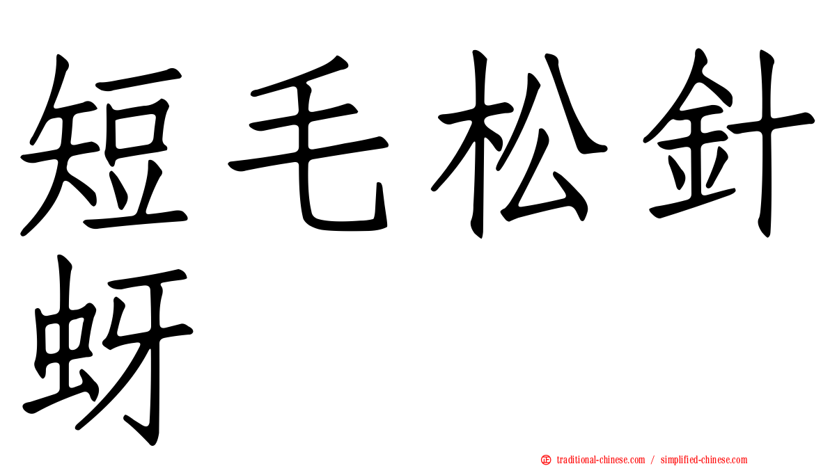 短毛松針蚜