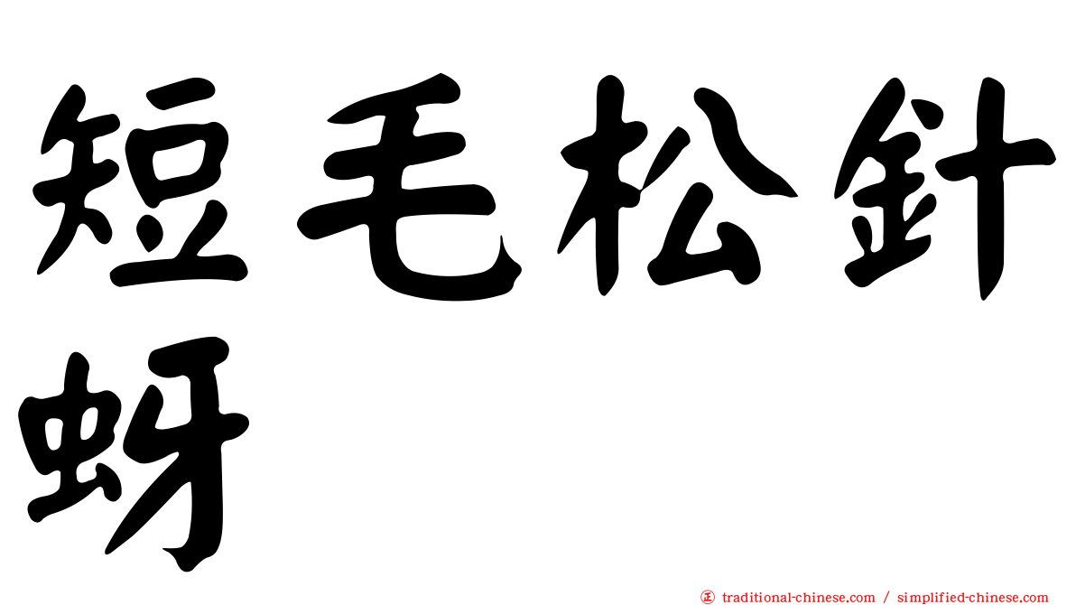 短毛松針蚜