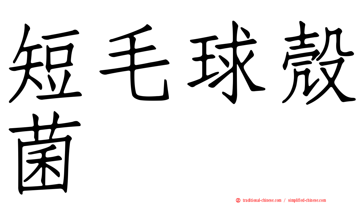短毛球殼菌