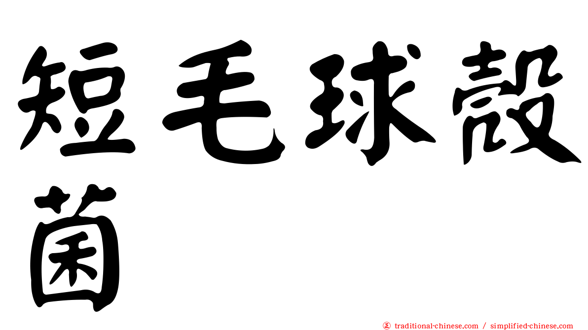 短毛球殼菌