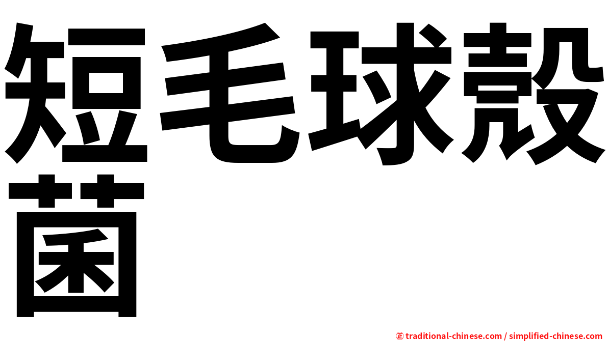 短毛球殼菌