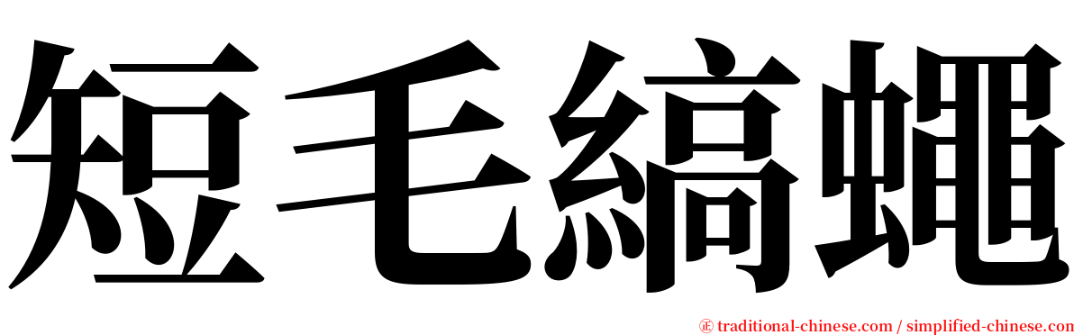 短毛縞蠅 serif font