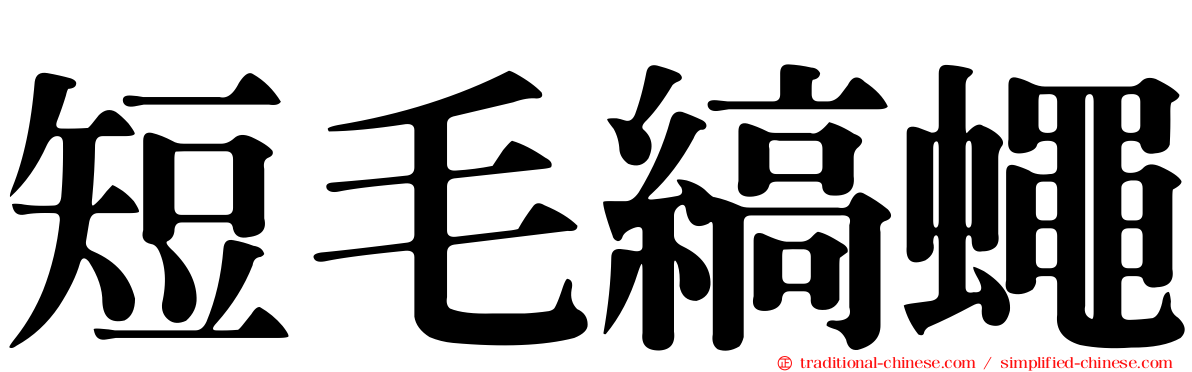 短毛縞蠅