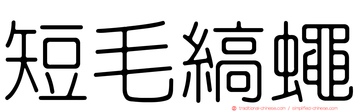 短毛縞蠅