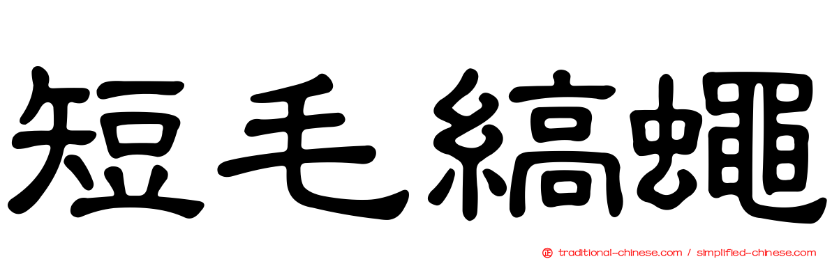 短毛縞蠅