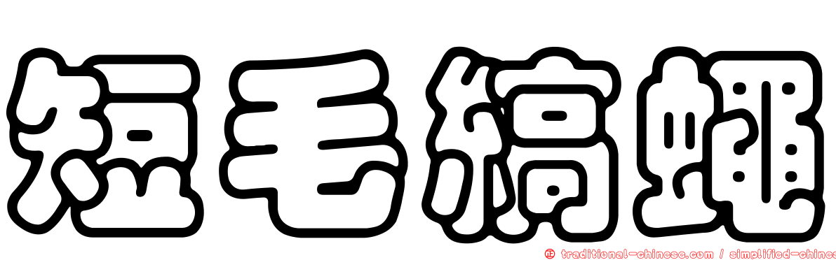 短毛縞蠅