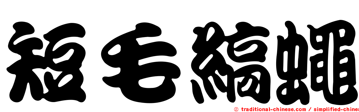 短毛縞蠅