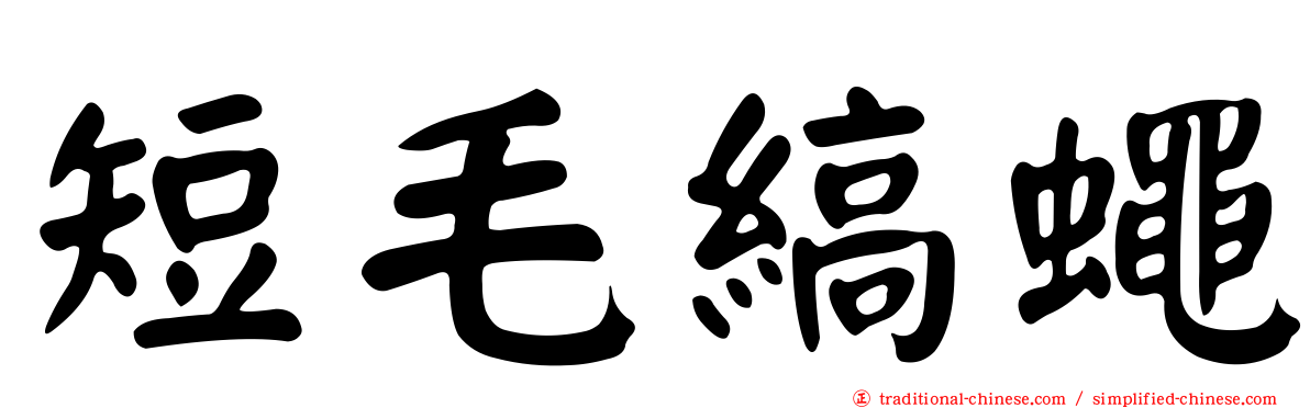 短毛縞蠅