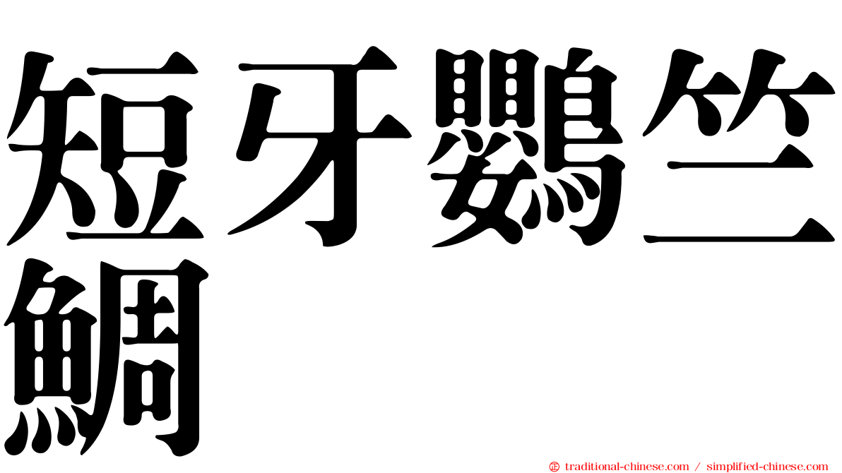 短牙鸚竺鯛
