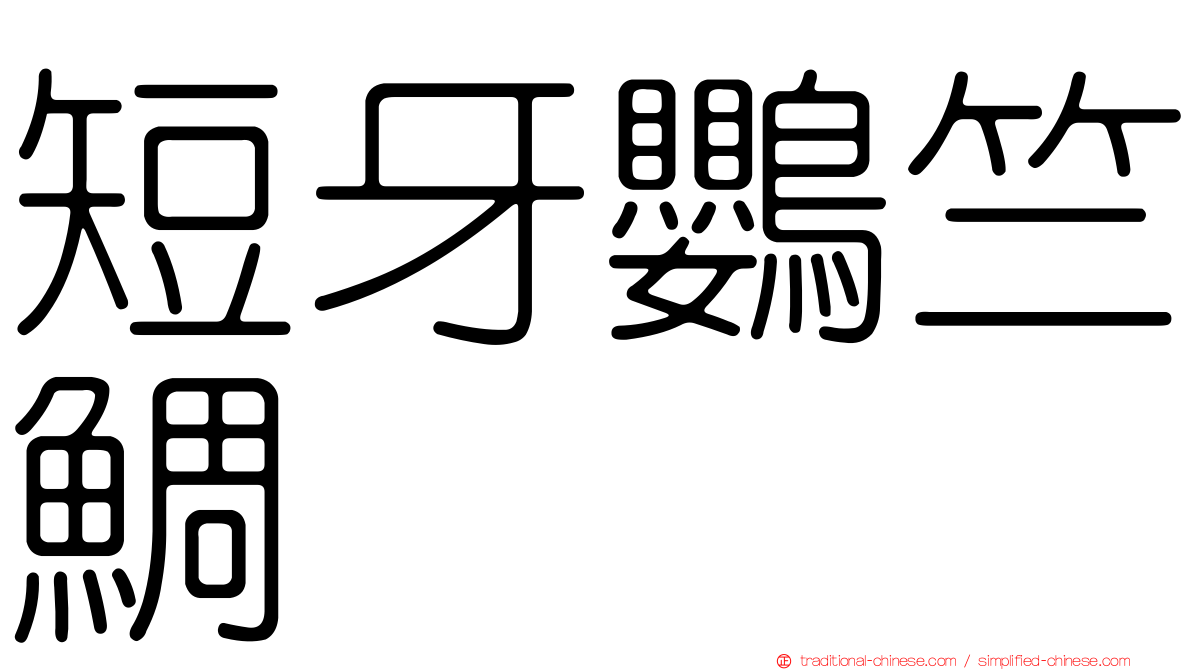 短牙鸚竺鯛