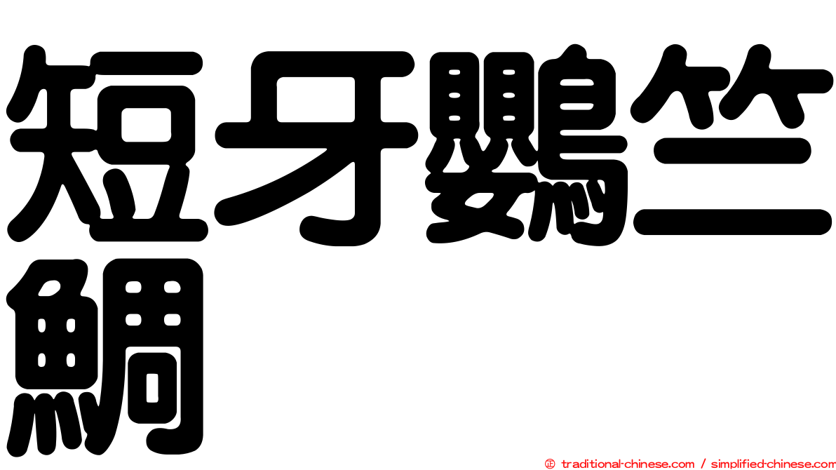 短牙鸚竺鯛